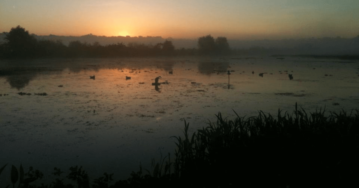 Featured Image for What to Look for When Buying Waterfowl Property